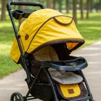 کالسکه دلیجان