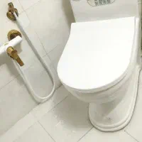 توالت فرنگی