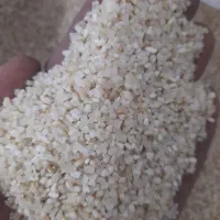 خورده برنج نیم دانه|خوردنی و آشامیدنی|شیراز, کوشک میدان|دیوار