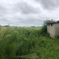 خانه کلنگی با انشعابات ۵۱۲متر زمین|فروش زمین و ملک کلنگی|خشکبیجار, |دیوار