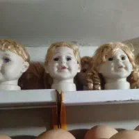 سرمانکن بزرگ و کوچک