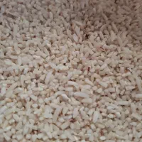 نیم دانه هاشمی