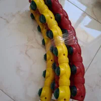 حلقه ورزشی