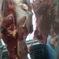 گوشت ران گوساله