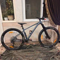 جاینت فدوم 2 2023