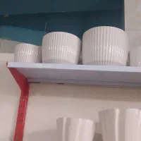انواع گل و گلدان