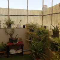 اجاره خانه