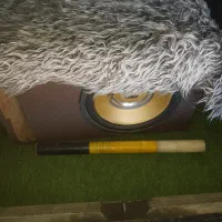 سیستم صوتی سالم