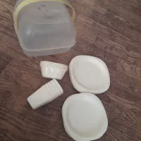 ظرف مسافرتی