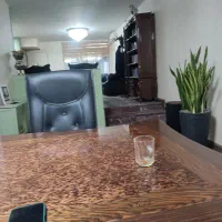 استخدام وکیل پایه یک