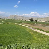 زمین-قصر-سبز-صدرا