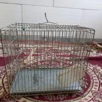 قفس پرنده|لوازم جانبی حیوانات|همدان, |دیوار