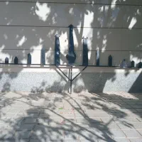 علامت