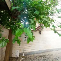 68-متر-با-پارکینگ-و-انباری-خ-پیروزی-خ-شکوفه