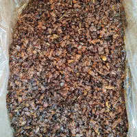 کشمش گله فقط 155