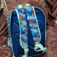 کیف مردعنکبوتی|کیف، کفش، کمربند|مشهد, پنجتن|دیوار