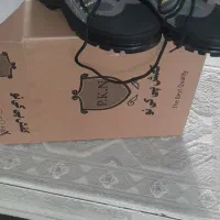 کفش کوهنوردی پی کی نو