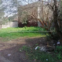 فروش-زمین-مسکونی-شهری