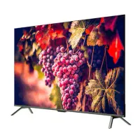 تلویزیون 55 اینچ ایکس ویژن