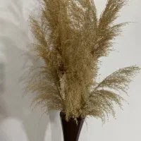 میز عسلی و گلدان باگل|مبلمان خانگی و میز عسلی|دهگلان, |دیوار