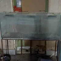 آکواریوم بزرگ ۱۰میل|ماهی|مشهد, نوید|دیوار