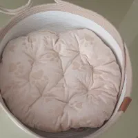 سبد قیطون برای گربه