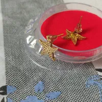 یک جفت گوشواره معاوضه با انگشتر