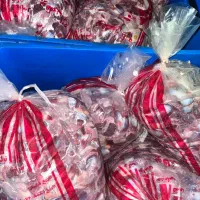 سنگدان گوشتی درشت سنگدون