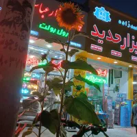 استخدام فروشنده ونیروی فیزیکی