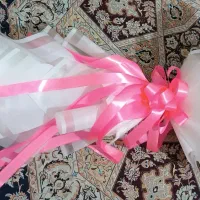 خرس بزرگ|اسباب‌‌بازی|شیراز, محراب|دیوار