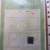 نیمه ساز صدر آباد