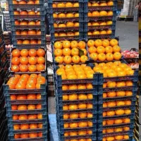 توزیع پخش میوه و تره بار با کمترین قیمت|خوردنی و آشامیدنی|تهران, میدان میوه و ترهبار مرکزی|دیوار