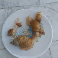 حلزون برای پوستی صاف وزیبا