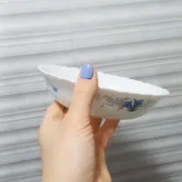 ظرف فسنجان خوری آرکوپال