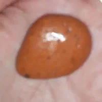 سنگ طبیعی|جواهرات|ری, سرتخت|دیوار