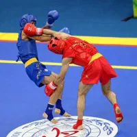 آموزش هنرهای رزمی