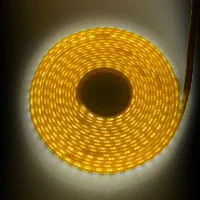 ریسه افتابی