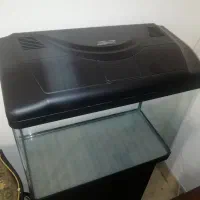 آکواریوم بسیار تمیز