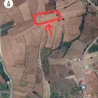 زمین ۳۵۶۸ متری در ساری - کیاده|فروش زمین و ملک کلنگی|کیاسر, |دیوار