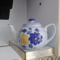 ظروف گل پنبه