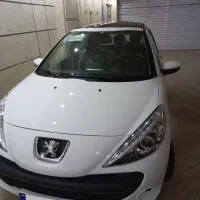 ۲۰۷ پانا دنده ای خشک