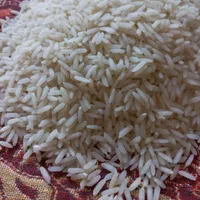 برنج ایرانی طارم امراللهی کشت دوم رستورانی(10kg)|عمده‌فروشی|مشهد, رسالت|دیوار