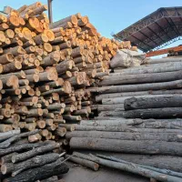 استخدام نیروی کار در چوبری