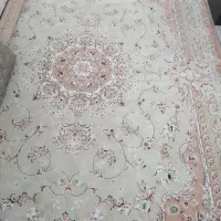 قالی ۱۲متری