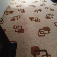 موکت کرمی رنگ سالم|موکت|اردبیل, |دیوار