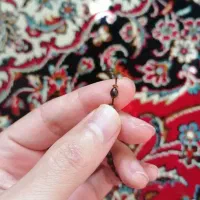 تسبیح شاه مقصود|کلکسیون اشیاء عتیقه|تهران, اکباتان|دیوار