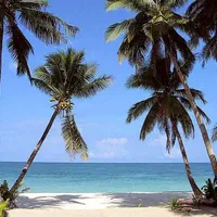 ویزا و تور دبی|تور و چارتر|تهران, ایرانشهر|دیوار