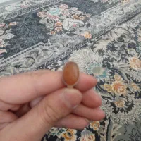 فروش انگوشتر