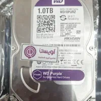 هارد wd purple