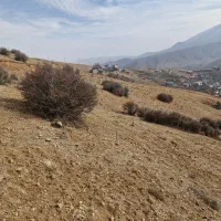 فروش زمین بدون پول فقط با چک